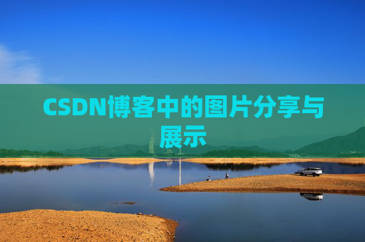 CSDN博客中的图片分享与展示